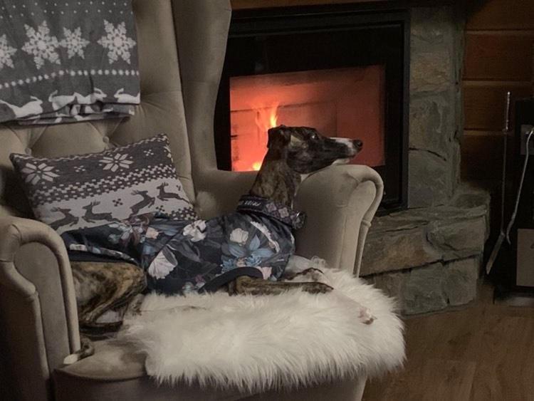 Willa Karkonoska Karpacz Luaran gambar
